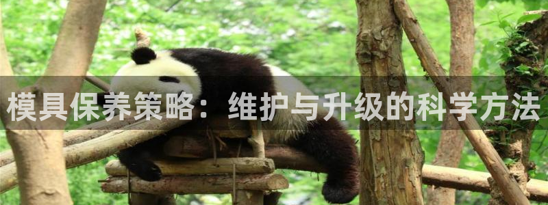 太阳成集团网站005