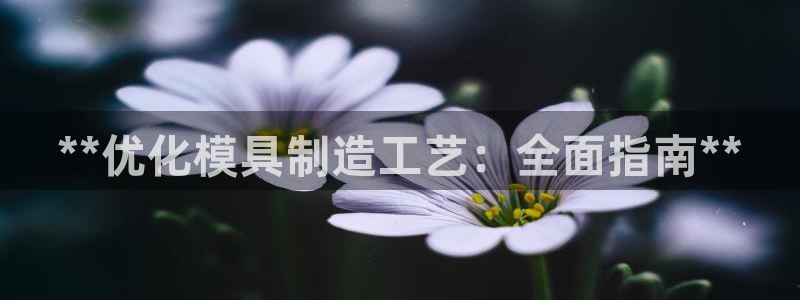 澳门太阳集团洗米华：**优化模具制造工艺：全面指南**