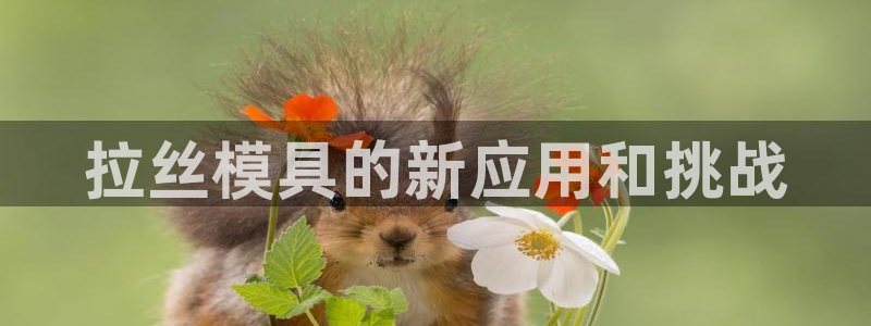 太阳集团游戏网址：拉丝模具的新应用和挑战