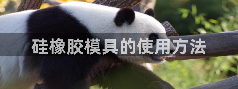 太阳成集团娱乐网站