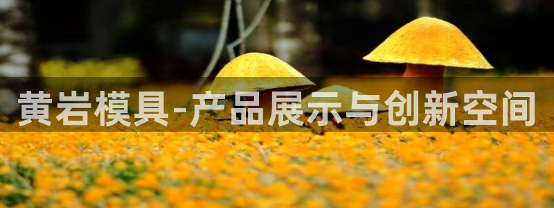 太阳成集团tyc151：黄岩模具-产品展示与创新空间