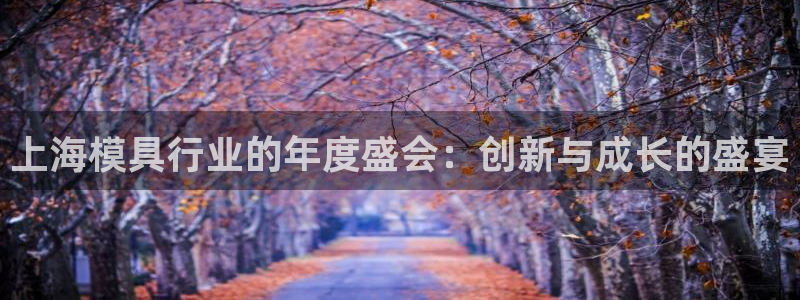 太阳集团游戏城旧版2.1.9：上海模具行业的年度盛会：创新与成长的盛宴