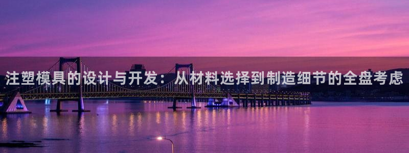 44118太阳成城集团：注塑模具的设计与开发：从材料选择到制造细节的全盘考虑