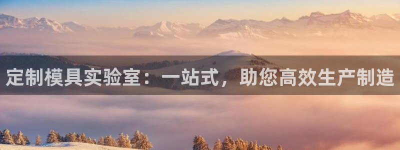 太阳诚集团网址：定制模具实验室：一站式，助您高效生产制造