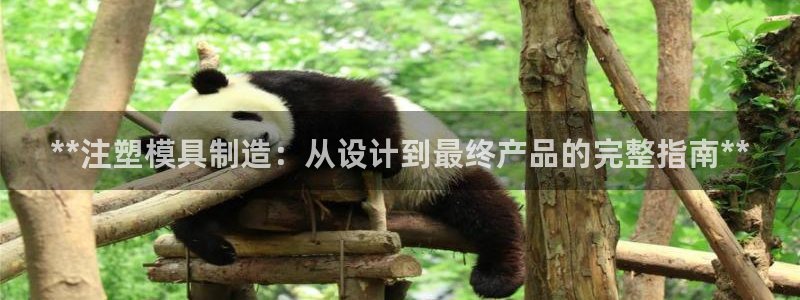 太阳成集团61999：**注塑模具制造：从设计到最终产品的完整指南**