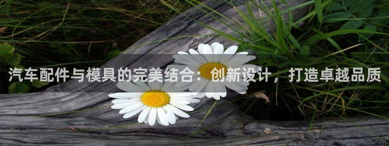 太阳成集团tyc7111cc下载手机版：汽车配件与模具的完美结合：创新设计，打造卓越品质