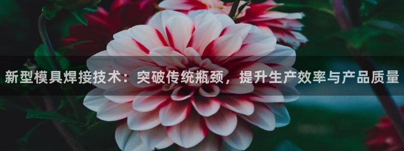 太阳gg注册地址：新型模具焊接技术：突破传统瓶颈，提升生产效率与产品质量