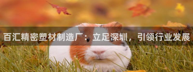 太阳集团游戏城旧版2.1.9：百汇精密塑材制造厂：立足深圳，引领行业发展