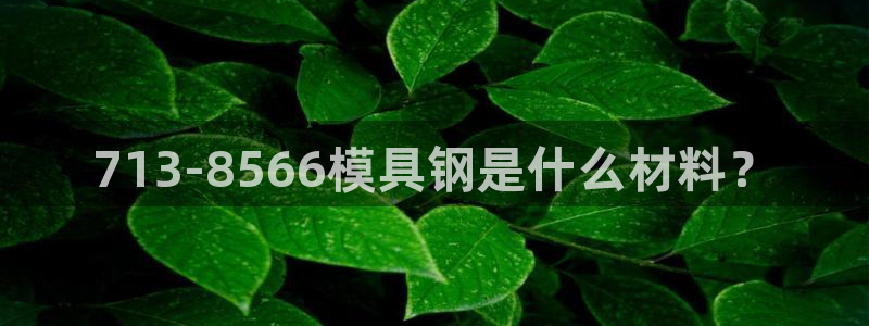 太阳成集团tyc122ccvlp：713-8566模具钢是什么材料？
