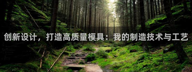 太阳集团城所有网址是多少：创新设计，打造高质量模具：我的制造技术与工艺