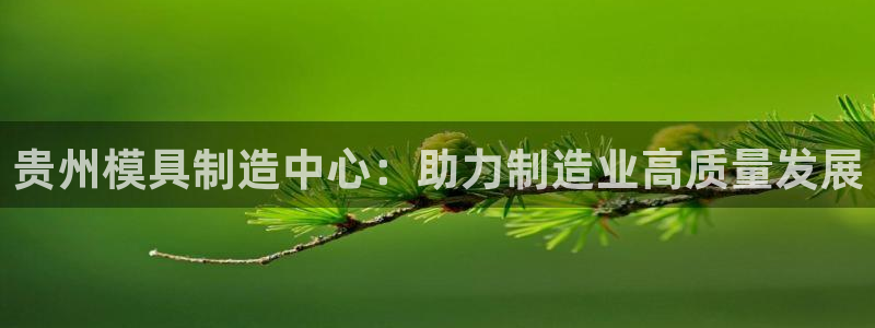 太阳集团城官网：贵州模具制造中心：助力制造业高质量发展