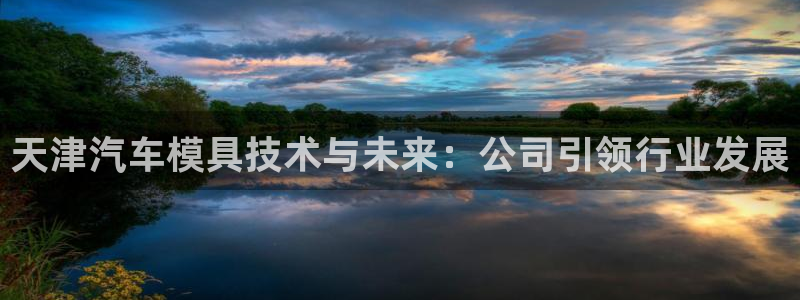 太阳集团首页：天津汽车模具技术与未来：公司引领行业发展