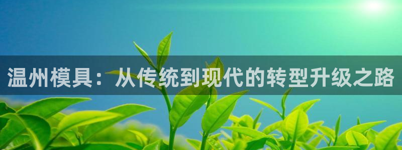 太阳成集团的官方网站：温州模具：从传统到现代的转型升级之路