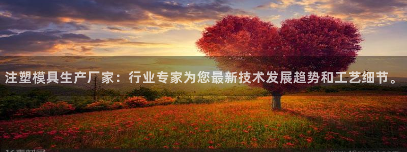 太阳集团董事长是谁?