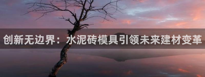 太阳集团游戏城旧版2.1.9：创新无边界：水泥砖模具引领未来建材变革