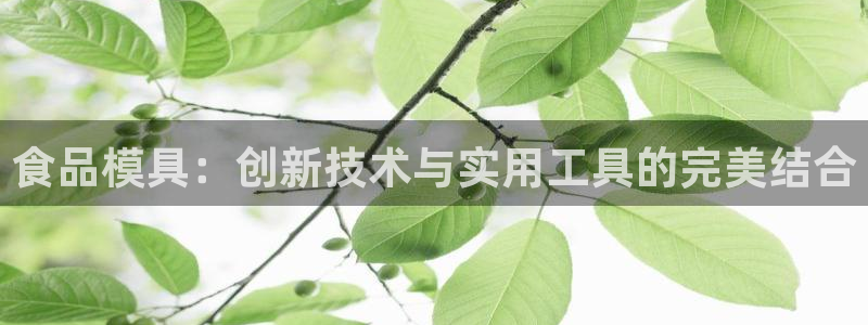 太阳集团入口官网首页：食品模具：创新技术与实用工具的完美结合