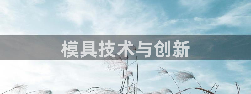 澳门太阳成城集团洗米华：模具技术与创新