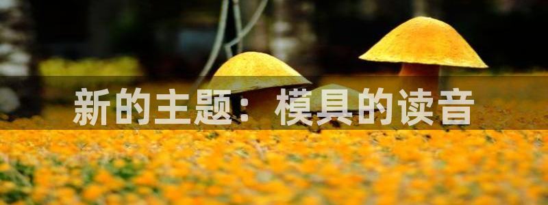 太阳集团电子游戏APP登录入口：新的主题：模具的读音
