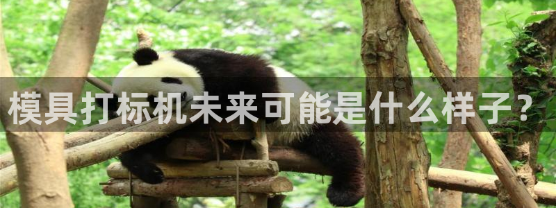 太阳app官网：模具打标机未来可能是什么样子？