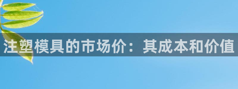 太阳集团是怎样一个公司：注塑模具的市场价：其成本和价值