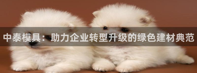 太阳诚集团是什么：中泰模具：助力企业转型升级的绿色建材典范