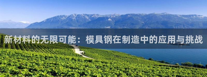 太阳集团影视：新材料的无限可能：模具钢在制造中的应用与挑战