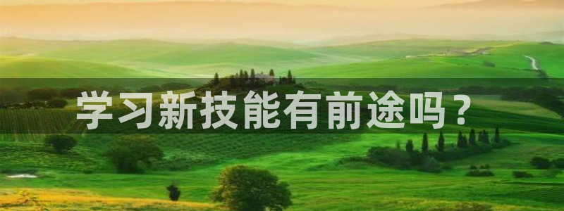 太阳成集团网址：学习新技能有前途吗？