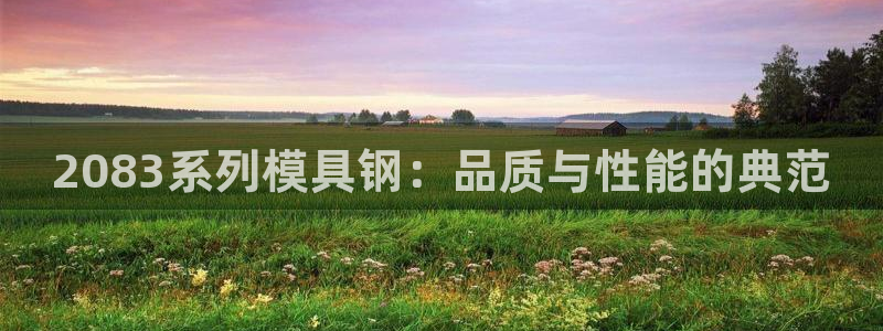 太阳集团网站入口官网网址：2083系列模具钢：品质与性能的典范