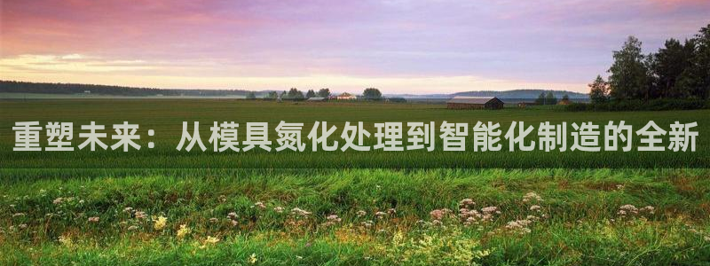 太阳成集团tyc234cc[主页]振：重塑未来：从模具氮化处理到智能化制造的全新