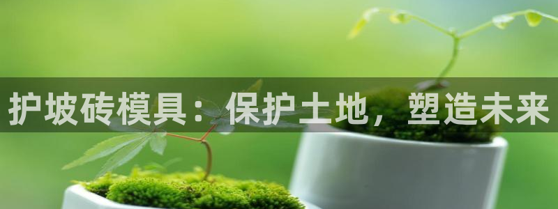 太阳成集团tyc122cc客服：护坡砖模具：保护土地，塑造未来