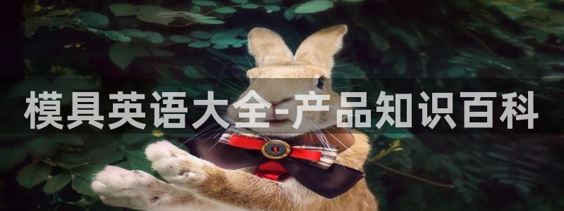 太阳集团城2018网站：模具英语大全-产品知识百科