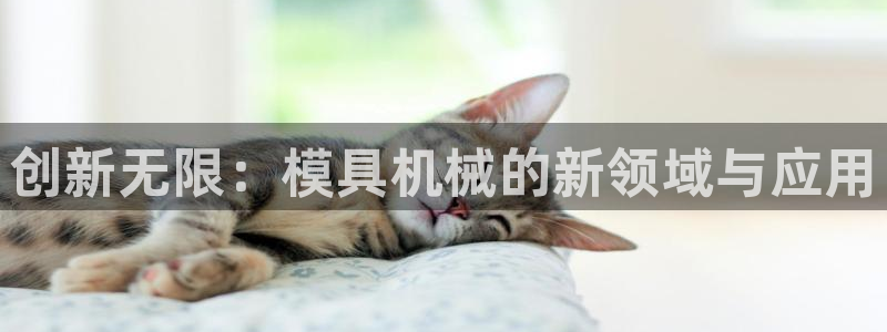 太阳集团董事长的儿子