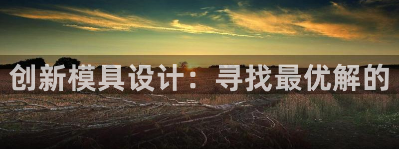 太阳gg注册平台页面：创新模具设计：寻找最优解的