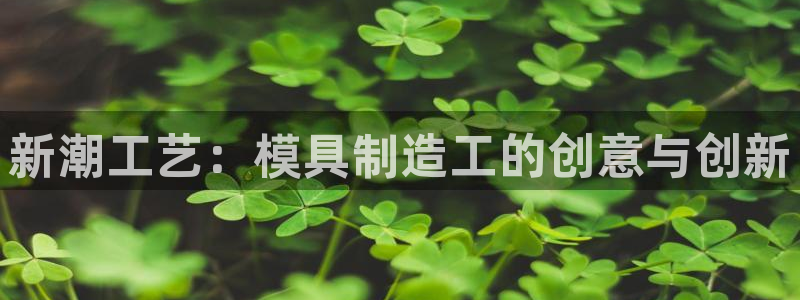 古天乐代言太阳网址ty：新潮工艺：模具制造工的创意与创新