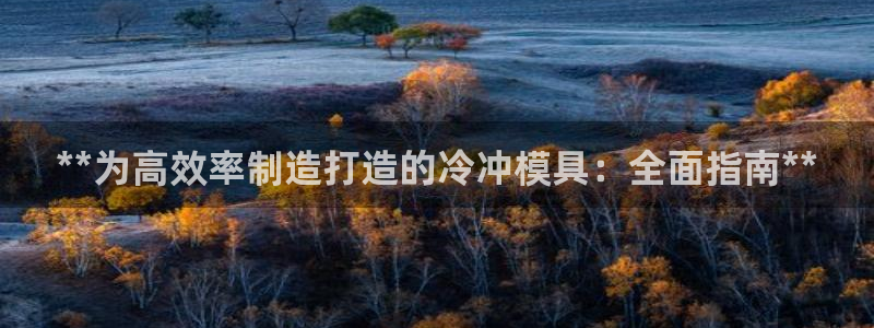 太阳老板是谁：**为高效率制造打造的冷冲模具：全面指南**