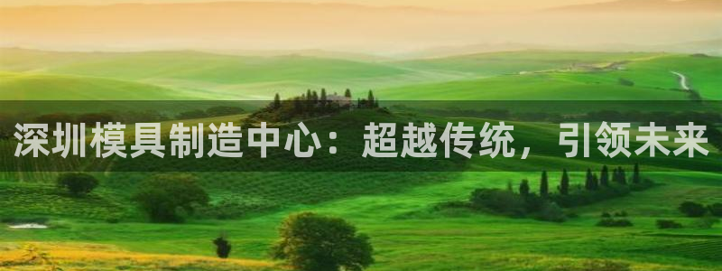 太阳集团城娱8722官方网站：深圳模具制造中心：超越传统，引领未来