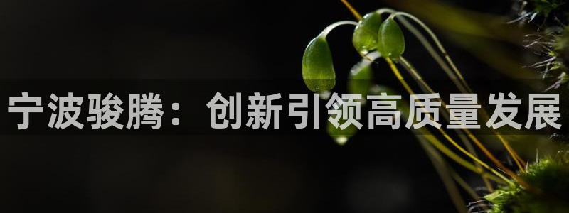澳门太阳集团洗米华：宁波骏腾：创新引领高质量发展