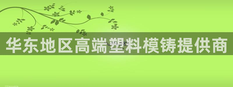 太阳集团的股价是多少：华东地区高端塑料模铸提供商