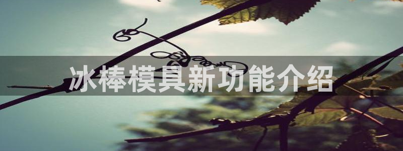 太阳gg平台地址：冰棒模具新功能介绍