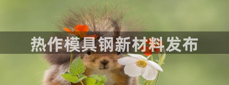 太阳app官方下载：热作模具钢新材料发布
