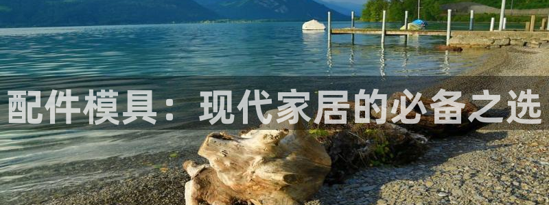 太阳成集团tyc33455cc官网：配件模具：现代家居的必备之选